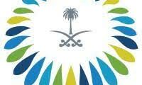 مطلوب محلل تميز مؤسسي في المركز السعودي للشراكات الاستراتيجية الدولية في الرياض