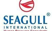 Seagull International Global HR Consultants