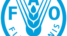 وظائف عمل في منظمة الأغذية والزراعة للأمم المتحدة FAO في بيروت لبنان – فرص عمل جديدة