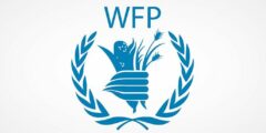 WFP Dubai Job Opportunities: Join the World Food Programme