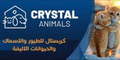 وظيفة في معرض كريستال للحيوانات الأليفة في نابلس ,فلسطين
