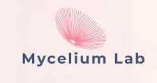 مطلوب مراجع داخلى في Mycelium Labs  في بيروت ,لبنان