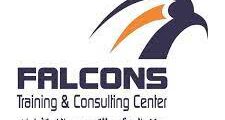 Sales and Training Coordinator Job at Falcons Training and Consulting in Jordan